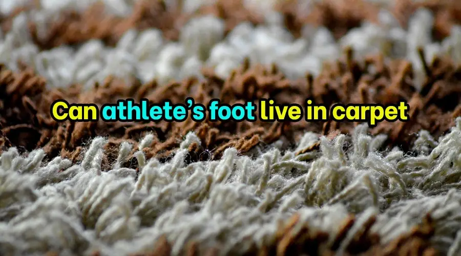 Can athlete foot live in carpet