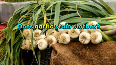 Does garlic stain clothes?